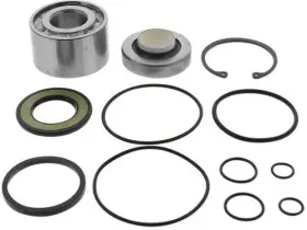 14-3025 SEA-DOO Balls Jet Pump Rebuild Kit