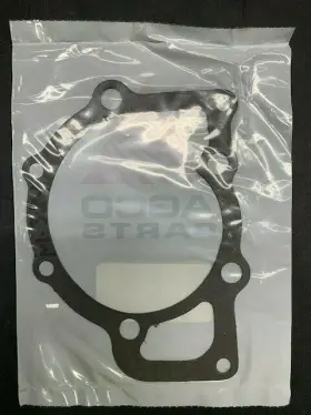XM384 AGCO Gasket
