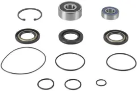 14-3008 BALLS Jet Pump Rebuild Kit