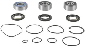 14-3016 BALLS Jet Pump Rebuild Kit