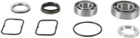 14-3042 BALLS Jet Pump Rebuild Kit
