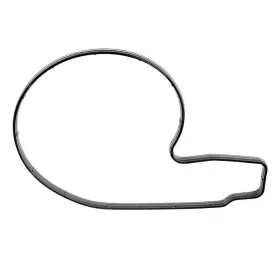 TG5244GT421LV CALTRIC Water Pump Housing Gasket Ring Rxt #2