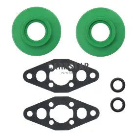290260723 CARBSTAR Rave Valve Repair Rebuild Seadoo Kit Gsx