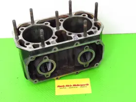 11004-3709 KAWASAKI Engine Motor Cylinder Top End Barrel Js