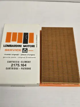 2175.164 LOMBARDINI Air Filter
