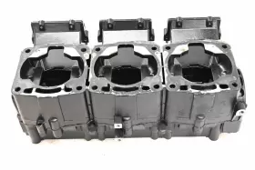 2201562 POLARIS Crankcase Center Crank 1200 Genesis