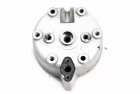 3021387-244 POLARIS Cylinder Head Msx #3