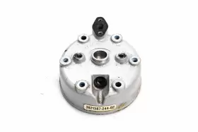 3021387-244 POLARIS Cylinder Head Msx