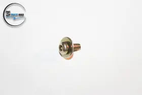7512084 POLARIS Pure Nos Screw