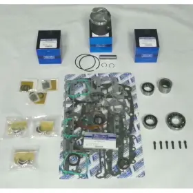 100-210-13A1 CHRYSLER Powerhead Rebuild Kit Force