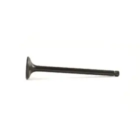 120-205A2 YAMAHA Exhaust Valve