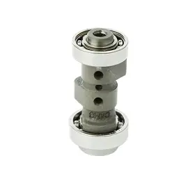 4019-1A1 YAMAHA Camshaft