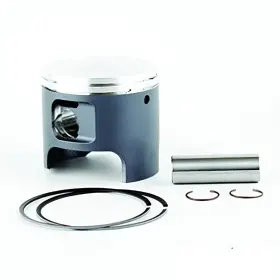 6012D100-Z8 YAMAHA Piston Exciter Kit