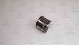 47-111 SBT Piston Di Sea-doo