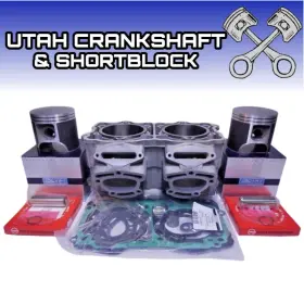 010-809-10P SEA-DOO Resleeved Port Cylinder Pistons I2 Std Di