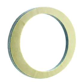 268000208 SEA-DOO Reverse Spark Gasket #2