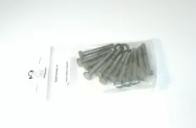 290240323 SEA-DOO Cylinder Head Bolt Kit Sp 580