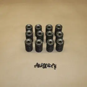 420254283 SEA-DOO Engine Valve Spring Set Gtx