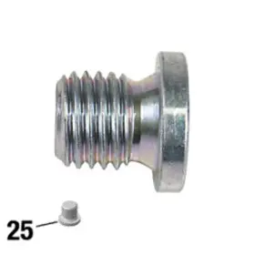 420241701 SEA-DOO Plug Screw M12