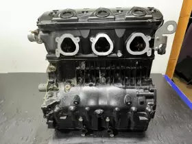 420150349 SEADOO Engine Motor Gti Gts