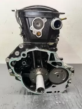 420150394 SEADOO Engine Motor #3