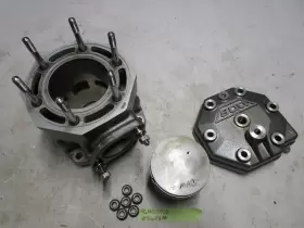 3008-254 TIGERSHARK Jet Ski Cylinder Piston Head Pwc 900