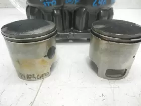 3008-481 TIGERSHARK Cylinders Pistons Barracuda #2