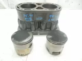 3008-481 TIGERSHARK Cylinders Pistons Barracuda