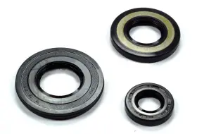 112-22-009 TITAN 757 PERFORMANCE Crank Shaft Seal Gsi Spi Kit