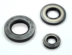 112-22-010 TITAN 757 PERFORMANCE Crank Shaft End Oil Seal Rfi
