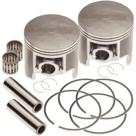112-22-202-K1 TITAN 757 PERFORMANCE Dual Piston Wave Kit Std