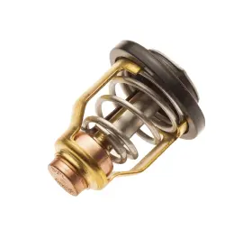 112-22-411 TITAN 757 PERFORMANCE Thermostat Fx Fzr Pwc Jet