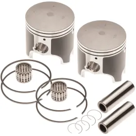 112-22-412-K1 TITAN 757 PERFORMANCE Dual Piston Pwc Wave Gp