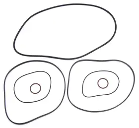 HO-SD-800 TITAN 757 PERFORMANCE Head Ring Gasket Seadoo Rfi