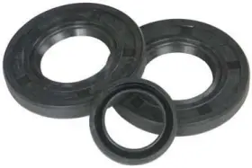 623123 VERTEX Jet Pump Seal Kit