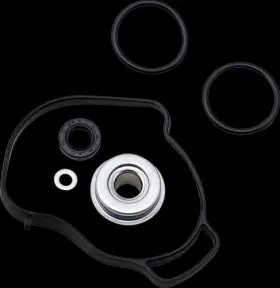 WIJE4B1FEN VERTEX Water Pump Rebuild Repair Spark Kit 900
