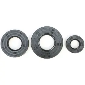 1708-GS392586-55 WINDEROSA Watercraft Vertex Oil Seal Set Gs