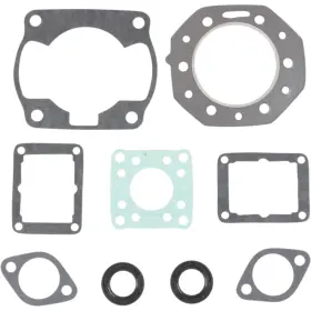 611100 WINDEROSA Vertex Gasket Set