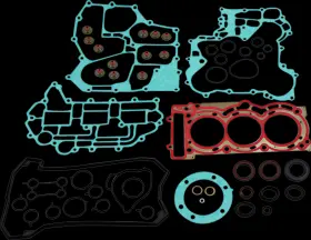 611216 WINDEROSA Engine Gasket Kit