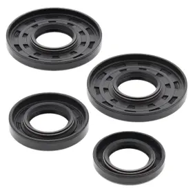 622115 WINDEROSA Vertex Sealing Gaskets Wave Runner Jammer