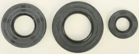 622202 WINDEROSA Vertex Gasket Oil Seal Kit XP800