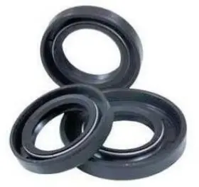 622204 WINDEROSA Vertex Gasket Crankshaft Oil Seal Kit