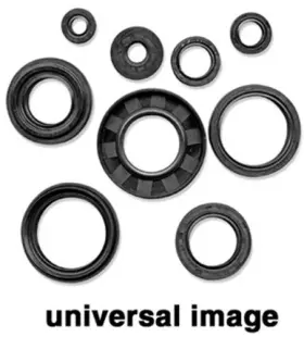623101 WINDEROSA Jet Pump Oil Seal JS440 Se Kawasaki