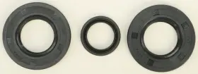 623104 WINDEROSA Vertex Jet Pump Seal Kit