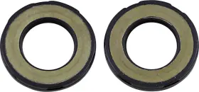623802 WINDEROSA Vertex Jet Pump Oil Seal Set