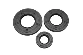 17-0475 SEA-DOO Crankshaft Oil Seal Set Gt