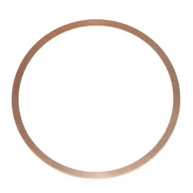 007-582-01 WSM Exhaust Seal Ring Sea-doo