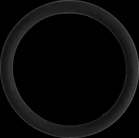 008-599-27 WSM Cam Sensor Ring Am Sea-doo Can-am