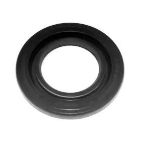 009-737-02T WSM Jet Pump Oil Seal