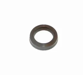 009-795 WSM Sealing Ring Power Valve
